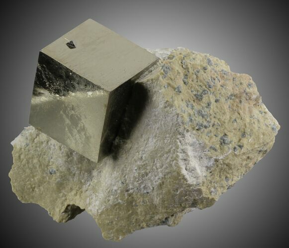 Pyrite Cube In Matrix - Navajun, Spain #31126